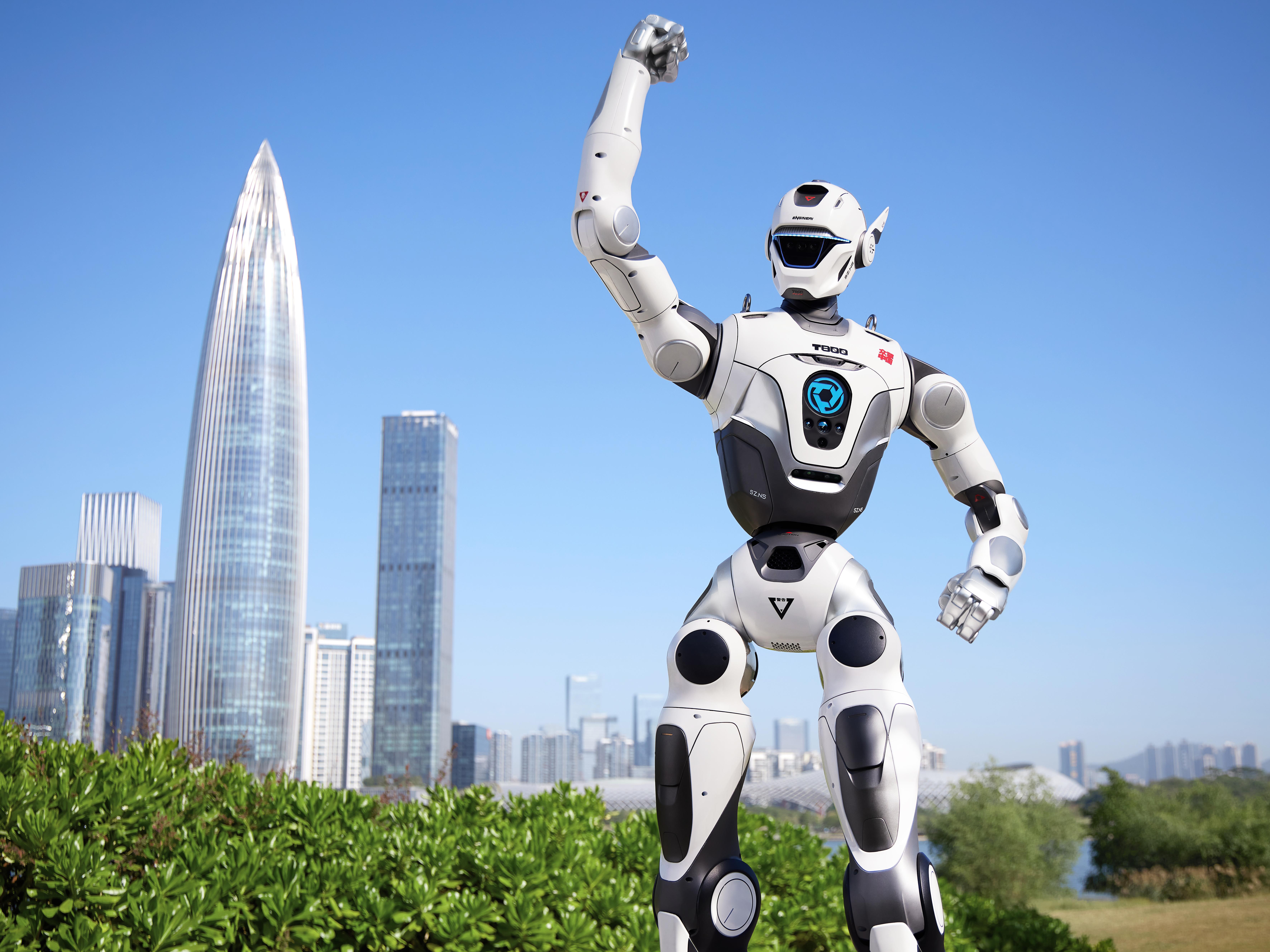 Leading the Way to Embodied Intelligence's Future
